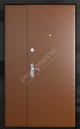 Фотография «Тамбурная дверь №1»